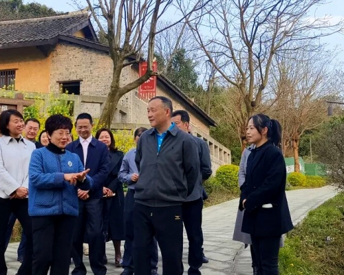 川侨联主席杨东赴内江调研，赋能隆昌客家文化传承发展