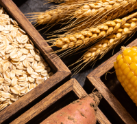 客家乡亲注意！脂肪肝非胖子专利，三招轻松逆转