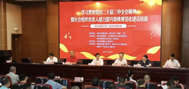 社会组织与慈善事业发展：“十五五” 规划的机遇与破局之道 ...