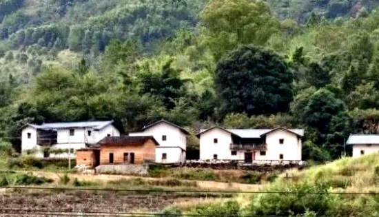 一捧故土慰阿公！印尼华裔三代寻根终抵蕉岭