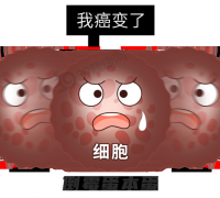 科学防癌7大习惯出炉，客家传统养生完美适配