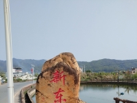 青瓦照墙，百年星芒 —— 石扇新田萧向荣故居写生记