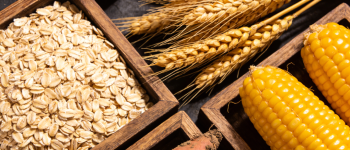 客家乡亲注意！脂肪肝非胖子专利，三招轻松逆转