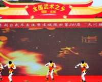 当机器人打起“连城拳”：这场客家武林盛会不一般