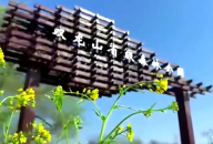 一曲唱醉偃师！客家祖根地山水风光惊艳全网