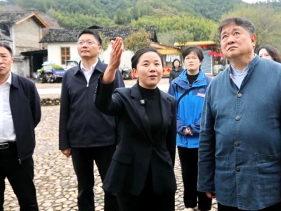 单霁翔连城闹元宵，盛赞客家非遗烟火气