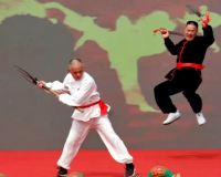 当机器人打起“连城拳”：这场客家武林盛会不一般