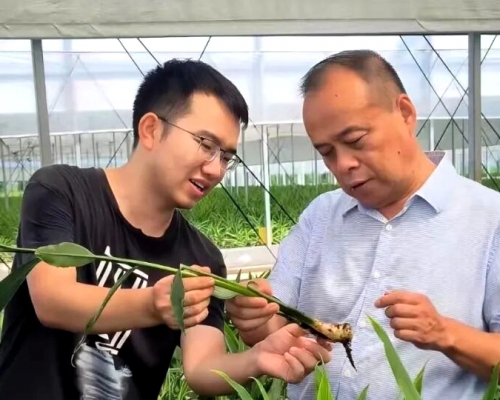 全国首次！赣闽粤豫联动，客家文化成两岸融合新纽带