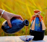客家娘酒：千年传承的养命之酒