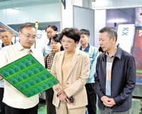 丰顺客商扎根东莞，以乡情聚合力绘就共富图景