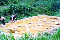 石城横江重纸古法造纸技艺，千年贡纸的客家匠心传承