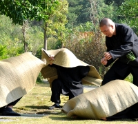 席狮舞，梅州独有的诙谐“香花狮”