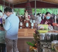 梅县区五一文旅热 松口古镇寻古韵 雁南飞里赏茶香