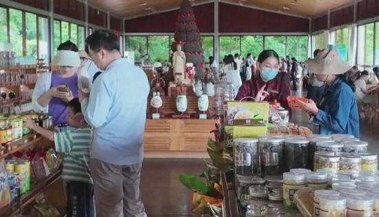 梅县区五一文旅热 松口古镇寻古韵 雁南飞里赏茶香