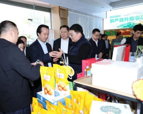 粤客商会东源行：政企联动深化“百会助百县”结对帮扶