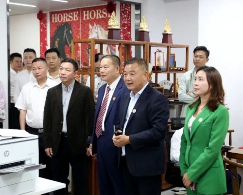 同根同心共奋进！省市饶平商会共筑合作新篇