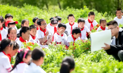 解码客家文脉：一场走心研学，让千年文化可触可感