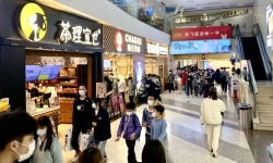 2026餐饮破局之道：客家饮食智慧或成行业突围关键