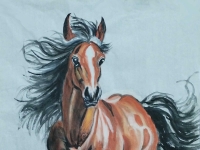 《汗血宝马・踏光而行》丙午元宵