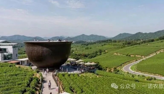 0门票年收500亿韩元：济州茶博物馆给农文旅的启示
