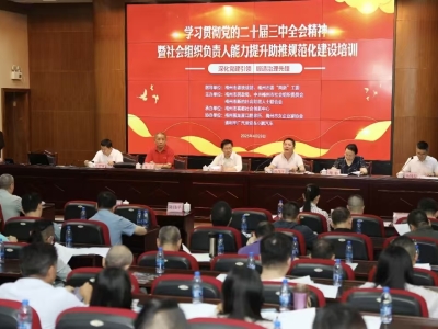 社会组织与慈善事业发展：“十五五” 规划的机遇与破局之道 ...