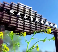 一曲唱醉偃师！客家祖根地山水风光惊艳全网