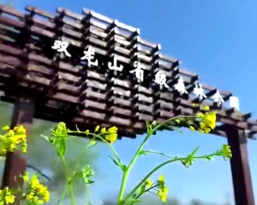 一曲唱醉偃师！客家祖根地山水风光惊艳全网