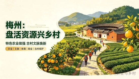 盘活乡土资源！梅州特色农业做强、古村焕新