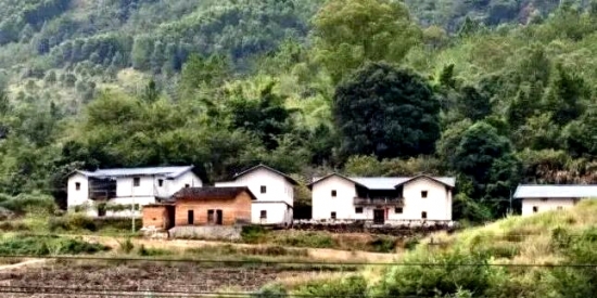 一捧故土慰阿公！印尼华裔三代寻根终抵蕉岭