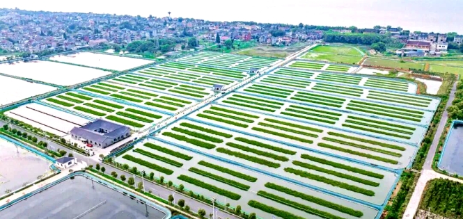 客家味掀国潮！土特产撬动县域经济的文化产业密码