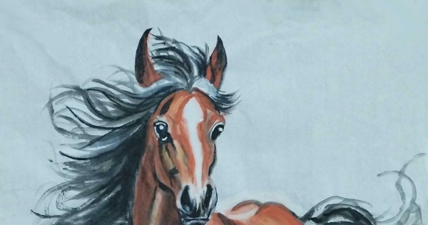 《汗血宝马・踏光而行》丙午元宵