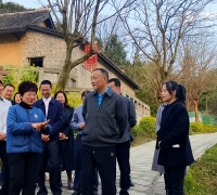 川侨联主席杨东赴内江调研，赋能隆昌客家文化传承发展