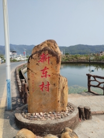 青瓦照墙，百年星芒 —— 石扇新田萧向荣故居写生记