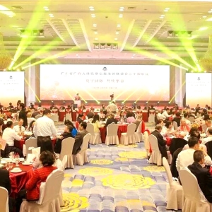 寰宇同脉共续华章：广府人联谊会三十周年庆典凝聚四海乡情 ...