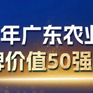 梅州两农企上榜广东品牌50强！总价值超2.7亿元