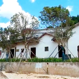 龙川客家祠堂修缮惊现红军子弹 90年前秘密埋藏重见天日