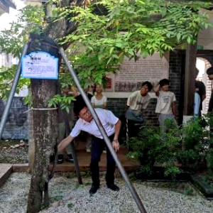 大埔红色遗产活化样本：98处革命旧址变身国家4A景区