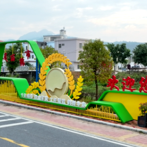 客家新乡愁！龙川鹤市"拆改增"绘就绿美城乡画卷