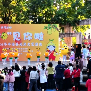 平远金柚季收官！14场客家文化盛宴带动文旅融合新浪潮