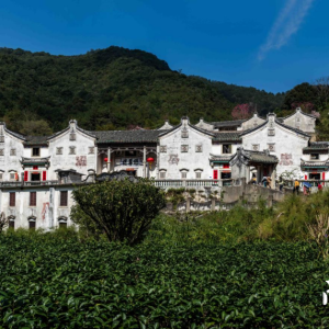 桥溪古村：阴那山麓的客家秘境，藏着百年侨乡传奇