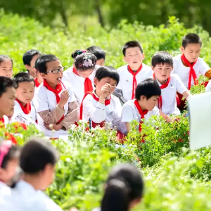 解码客家文脉：一场走心研学，让千年文化可触可感