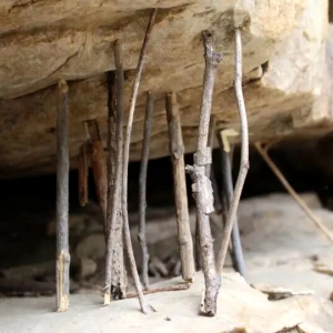 破解客家神秘习俗：山路插树枝“撑腰”的百年秘密