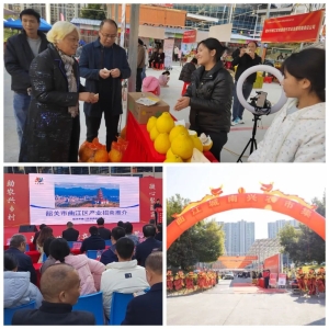 深韶商界携手，韶关农产品展销会引爆乡村振兴新热潮