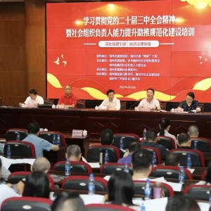 社会组织与慈善事业发展：“十五五” 规划的机遇与破局之道 ...