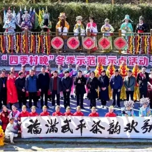 四季村晚茶香浓！武平客家风情点亮乡村振兴路