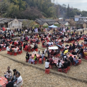 千人按猪打糍粑！平远客家杀猪宴年味爆棚