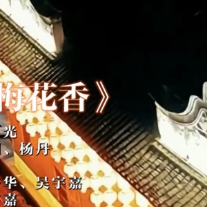 客韵融金曲！《梅州梅花香》MV 发布，唱响文旅新声