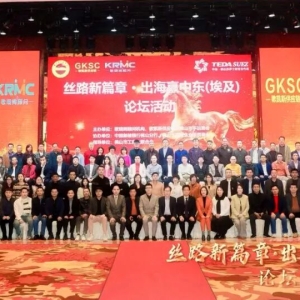 客联牵线！粤企抱团闯中东 埃及市场迎客家力量