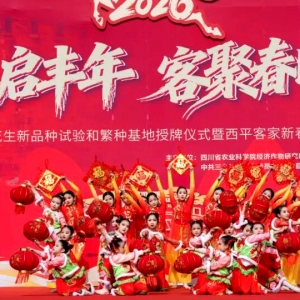 川北客家新春盛会启幕，花生产业与客韵相融兴乡村