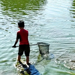 客家打旱塘：藏在鱼塘里的年味与乡情